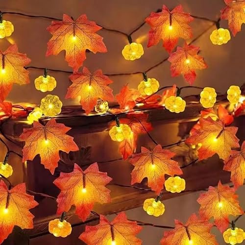 TSLBW Kürbis Ahornblatt Lichterkette Thanksgiving Halloween Dekoration Lichterkette 3 Meter 20 LED Licht Herbst Girlande Indoor Outdoor Herbst Dekoration (A) von TSLBW