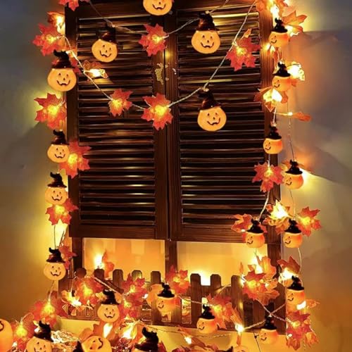 TSLBW Kürbis Ahornblatt Lichterkette Thanksgiving Halloween Dekoration Lichterkette 3 Meter 20 LED Licht Herbst Girlande Indoor Outdoor Herbst Dekoration (B) von TSLBW