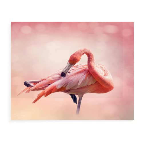 Malen Nach Zahlen Erwachsene Flamingo 40X50Cm Malen Nach Zahlen Leinwand Tiere Landschaft,Paint By Numbers Kits,C20 von TSMMB