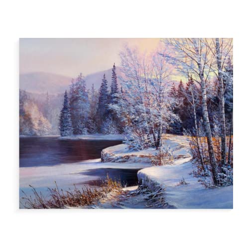 TSMMB Malen Nach Zahlen Erwachsene Landschaft Winterwald Malen Nach Zahlen Auf Leinwand Für Kinder 40X50Cm,B4 TSMMB Malen Nach Zahlen Erwachsene Landschaft Winterwald Malen Nach Zahlen Auf Leinwand Für Kinder 40X50Cm,B4 von TSMMB