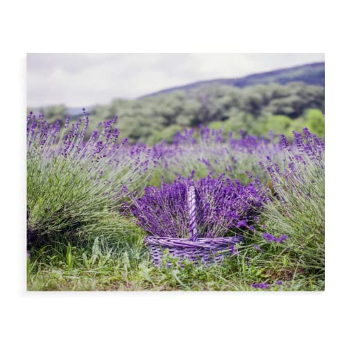 TSMMB Malen Nach Zahlen Erwachsene Lavendel 40X50Cm Diy Malen Nach Zahlen Ölgemälde Kinder Landschaft Leinwand,S29 von TSMMB