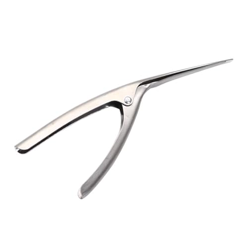 TSMORY Tragbarer Garnelenschäler Garnelenschäler Linienschneider Edelstahl Garnelen Deveined Gerät Küche Meeresfrüchte Vorbereitung Werkzeug TSMORY Tragbarer Garnelenschäler Garnelenschäler Linienschneider Edelstahl Garnelen Deveined Gerät Küche Meeresfrüchte Vorbereitung Werkzeug von TSMORY