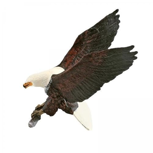 TTETTZ 4 X Tier Vogel Modellfiguren, Tischdekoration, Simulation, Pädagogisches Lernspielzeug, Tierfiguren, Sammlerstück, Ornament für Zimmer, Schreibtisch TTETTZ 4 X Tier Vogel Modellfiguren, Tischdekoration, Simulation, Pädagogisches Lernspielzeug, Tierfiguren, Sammlerstück, Ornament für Zimmer, Schreibtisch von TTETTZ