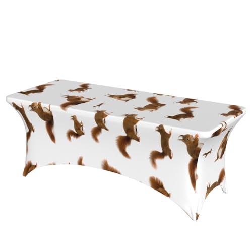 TTIGLHOH Niedliche Eichhörnchen-Tischdecke für Standardtische, universelle rechteckige Tischdecke für Hochzeit, Bankett, Party TTIGLHOH Niedliche Eichhörnchen-Tischdecke für Standardtische, universelle rechteckige Tischdecke für Hochzeit, Bankett, Party von TTIGLHOH