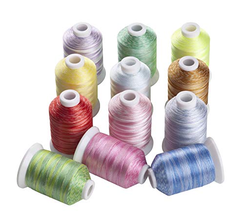 TTSJSM Stickgarn,Embroidery Floss Variegierte Farben Multi-Farben Polyester Stickgewinde 12 Farben 1100 Yards pro Spule (Color : 12 Colors D) von TTSJSM
