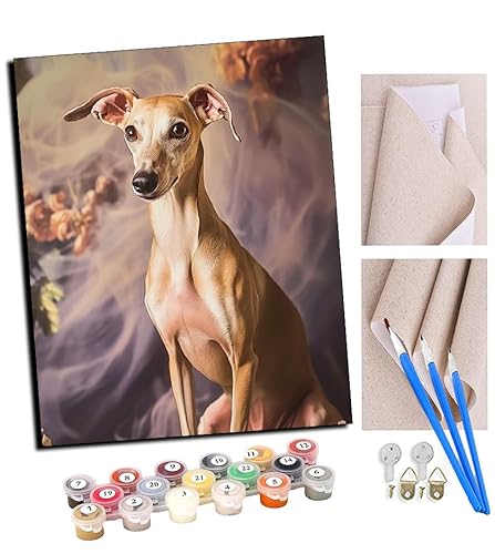 TUDOUTU DIY Malen nach Zahlen-Ölgemälde Geschenk für Erwachsene Windhund Malen Nach Zahlen Kits Wohnzimmer Schlafzimmer Wanddekoration 16 * 20inch(Mit Rahmen) von TUDOUTU