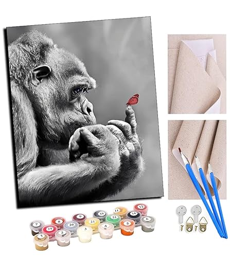 TUDOUTU Malen nach Zahlen Kits Einsamer Gorilla und Schmetterling DIY vorgedruckte Leinwand Ölgemälde Geschenk für Erwachsene Kinder Home House Decor 40 * 50 cm Mit Rahmen TUDOUTU Malen nach Zahlen Kits Einsamer Gorilla und Schmetterling DIY vorgedruckte Leinwand Ölgemälde Geschenk für Erwachsene Kinder Home House Decor 40 * 50 cm Mit Rahmen von TUDOUTU