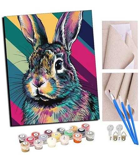 TUDOUTU Malen nach Zahlen Regenbogenhase 2 Für Erwachsene und DIY Ölgemälde Geschenk-Kits Vorgedruckte Leinwand Kunst Home Decoration 16x20 Zoll Mit Rahmen von TUDOUTU