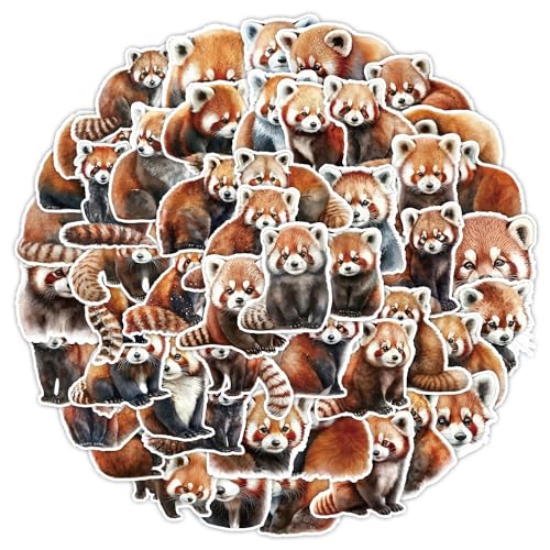 50 Stück Raccoon Aufkleber für Motorrad,Kühlschrank,Fahrrad,Gepäck,Skateboard,Laptop Stoßstange,Computer,Tier niedliche Wasserdicht Aufkleber,Jungen Kinder Geschenk,Cartoon Waschbär Vinyl Aufkleber 50 Stück Raccoon Aufkleber für Motorrad,Kühlschrank,Fahrrad,Gepäck,Skateboard,Laptop Stoßstange,Computer,Tier niedliche Wasserdicht Aufkleber,Jungen Kinder Geschenk,Cartoon Waschbär Vinyl Aufkleber von TUIOBUN