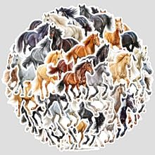 50Stück Aquarell Pferd Aufkleber für Motorrad,Fahrrad,Stoßstange,Laptop,Computer,Kühlschrank,Coole Tier Wasserdicht Vinyl Decal,Junge Erwachsene Geschenk,Horse Aesthetic Kawaii Graffiti Sticker 50Stück Aquarell Pferd Aufkleber für Motorrad,Fahrrad,Stoßstange,Laptop,Computer,Kühlschrank,Coole Tier Wasserdicht Vinyl Decal,Junge Erwachsene Geschenk,Horse Aesthetic Kawaii Graffiti Sticker von TUIOBUN