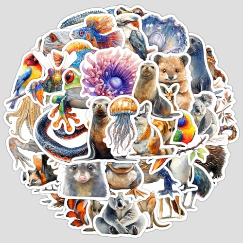 50Stück Australien Tier Aufkleber für Laptop,Fahrrad,Koffer,Auto,Telefon,Motorrad,Kühlschrank,Ästhetische Niedliche Känguru Vinyl Sticker,Kinder Erwachsene Geschenk,Cartoon Igel Graffiti Stickers 50Stück Australien Tier Aufkleber für Laptop,Fahrrad,Koffer,Auto,Telefon,Motorrad,Kühlschrank,Ästhetische Niedliche Känguru Vinyl Sticker,Kinder Erwachsene Geschenk,Cartoon Igel Graffiti Stickers von TUIOBUN