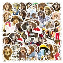50Stück Dackel Hund Aufkleber für Kühlschrank,Laptop,Fahrrad,Stoßstange,Auto,Gitarre,Gepäck,Wasserdicht Vinyl Kawaii Tier Sticker,Mädchen Erwachsene Geschenk,Cartoon Ästhetik Hund Graffiti Aufkleber 50Stück Dackel Hund Aufkleber für Kühlschrank,Laptop,Fahrrad,Stoßstange,Auto,Gitarre,Gepäck,Wasserdicht Vinyl Kawaii Tier Sticker,Mädchen Erwachsene Geschenk,Cartoon Ästhetik Hund Graffiti Aufkleber von TUIOBUN
