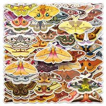 50Stück Kawaii Motten Aufkleber für Kühlschrank,Laptop,Computer,Stoßstange,Fahrrad,Gepäck,Wasserdicht Vinyl Cartoon Insekten Decal,Junge Erwachsene Geschenk,Ästhetische Niedliche Graffiti Sticker von TUIOBUN