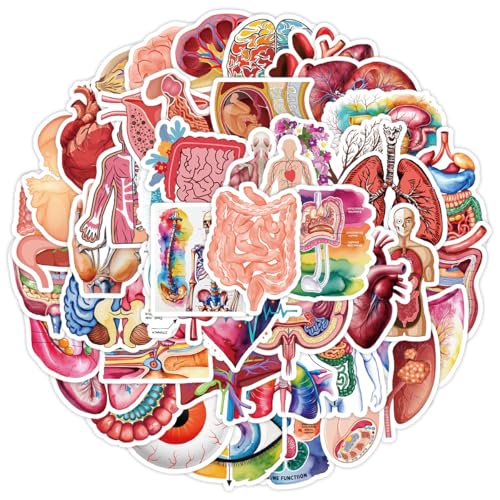 50Stück Menschliche Organe Aufkleber für Laptop,Fahrrad,Koffer,Auto,Telefon,Gitarre,Motorrad,Cartoon Organ Anatomie Wasserfeste Vinyl Sticker,Kinder Erwachsene Geschenk,Ästhetische Graffiti Sticker 50Stück Menschliche Organe Aufkleber für Laptop,Fahrrad,Koffer,Auto,Telefon,Gitarre,Motorrad,Cartoon Organ Anatomie Wasserfeste Vinyl Sticker,Kinder Erwachsene Geschenk,Ästhetische Graffiti Sticker von TUIOBUN