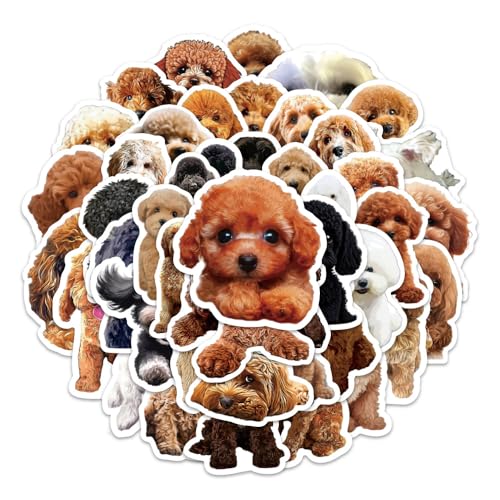 50Stück Poodle Aufkleber für Skateboard,Laptop,Fahrrad,Koffer,Auto,Kühlschrank,Motorrad,Cartoon Pudel Wasserfeste Sticker,Kinder Erwachsene Geschenk,Niedliche Ästhetische Tier Hund Graffiti Stickers 50Stück Poodle Aufkleber für Skateboard,Laptop,Fahrrad,Koffer,Auto,Kühlschrank,Motorrad,Cartoon Pudel Wasserfeste Sticker,Kinder Erwachsene Geschenk,Niedliche Ästhetische Tier Hund Graffiti Stickers von TUIOBUN