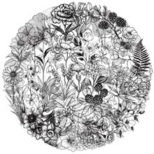 50Stück Schwarze und weiße Pflanzen Aufkleber für Motorrad,Fahrrad,Stoßstange,Laptop,Auto,Kühlschrank,Transparent Plants Vinyl Niedlich Decal,Kinder Erwachsene Geschenk,Aesthetic Graffiti Sticker 50Stück Schwarze und weiße Pflanzen Aufkleber für Motorrad,Fahrrad,Stoßstange,Laptop,Auto,Kühlschrank,Transparent Plants Vinyl Niedlich Decal,Kinder Erwachsene Geschenk,Aesthetic Graffiti Sticker von TUIOBUN