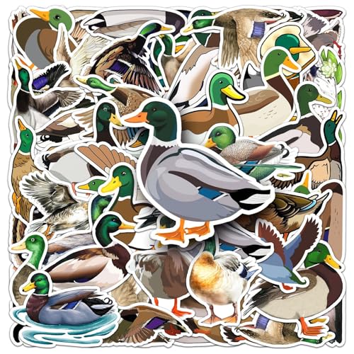 50Stück Stockente Aufkleber für Fahrrad,Gepäck,Kühlschrank,Laptop,Stoßstange, Auto,Motorrad,Gitarre, Wasserdichte Vinyl Ente Aufkleber,Geschenk für Kinder Mädchen,Cartoon Green Duck Süße Sticker 50Stück Stockente Aufkleber für Fahrrad,Gepäck,Kühlschrank,Laptop,Stoßstange, Auto,Motorrad,Gitarre, Wasserdichte Vinyl Ente Aufkleber,Geschenk für Kinder Mädchen,Cartoon Green Duck Süße Sticker von TUIOBUN