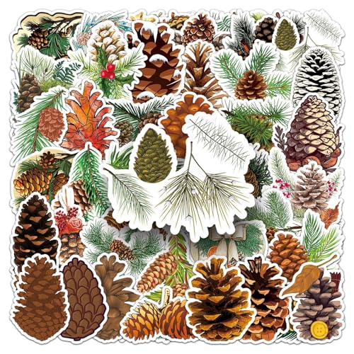 50Stück Tannenzapfen Aufkleber für Motorrad,Kühlschrank,Fahrrad,Gepäck,Stoßstange,Auto,Laptop, Niedliche Squirrel Food Wasserdicht Stickers,Erwachsene Geschenk,Pinecone Ästhetische Graffiti Sticker 50Stück Tannenzapfen Aufkleber für Motorrad,Kühlschrank,Fahrrad,Gepäck,Stoßstange,Auto,Laptop, Niedliche Squirrel Food Wasserdicht Stickers,Erwachsene Geschenk,Pinecone Ästhetische Graffiti Sticker von TUIOBUN