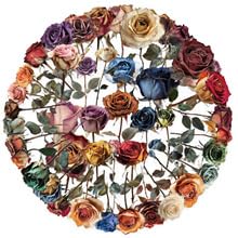 50Stück Transparent Getrocknete Blumen Aufkleber für Kühlschrank,Laptop,Fahrrad,Gepäck,Stoßstange,Niedliche Pflanzen Wasserdicht Vinyl Decal,Erwachsene Geschenk,Flower Ästhetische Graffiti Sticker von TUIOBUN