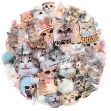 50Stück Transparent Niedliche Katzen Aufkleber für Stoßstange,Motorrad,Koffer,Gepäck,Scrapbook,Laptop,Fahrrad,Kawaii Tier Wasserdicht Vinyl Aufkleber,Mädchen Geschenk,Katze Cartoon Graffiti Sticker 50Stück Transparent Niedliche Katzen Aufkleber für Stoßstange,Motorrad,Koffer,Gepäck,Scrapbook,Laptop,Fahrrad,Kawaii Tier Wasserdicht Vinyl Aufkleber,Mädchen Geschenk,Katze Cartoon Graffiti Sticker von TUIOBUN
