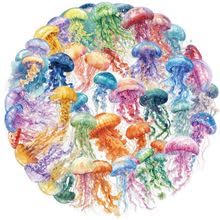 50Stück Transparent Quallen Aufkleber für Gepäck,Laptop,Motorrad,Stoßstange,Scrapbook,Auto,Kawaii Wasserdichte Meeresleben Vinyl Decal,Jugendliche Geschenk,Farbe Meerestier Cartoon Graffiti Sticker 50Stück Transparent Quallen Aufkleber für Gepäck,Laptop,Motorrad,Stoßstange,Scrapbook,Auto,Kawaii Wasserdichte Meeresleben Vinyl Decal,Jugendliche Geschenk,Farbe Meerestier Cartoon Graffiti Sticker von TUIOBUN