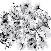 50Stück Transparent Schwarze und weiße Blumen Aufkleber für Motorrad,Fahrrad,Stoßstange,Laptop,Auto,Niedlich Pflanzen Vinyl Decal,Kinder Erwachsene Geschenk,Flower Aesthetic Graffiti Sticker von TUIOBUN