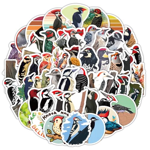 60Stück Specht Aufkleber für Gitarre,Fahrrad,Gepäck,Laptop, Fahrrad,Stoßstange,Auto,Motorrad,Wasserdichte Vinyl Niedliche Vogel Stickers,Geschenk für Mädchen Erwachsene,Ästhetische Tiere Aufkleber 60Stück Specht Aufkleber für Gitarre,Fahrrad,Gepäck,Laptop, Fahrrad,Stoßstange,Auto,Motorrad,Wasserdichte Vinyl Niedliche Vogel Stickers,Geschenk für Mädchen Erwachsene,Ästhetische Tiere Aufkleber von TUIOBUN
