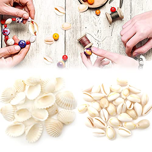 Muschel, Dekoration, Muschel, Spirale, Muschel, Naturmuscheln, Handwerk, für Schmuckherstellung, Armband, Zubehör, Handwerk, Hobby, 40 Stück Muschel, Dekoration, Muschel, Spirale, Muschel, Naturmuscheln, Handwerk, für Schmuckherstellung, Armband, Zubehör, Handwerk, Hobby, 40 Stück von TUKNN