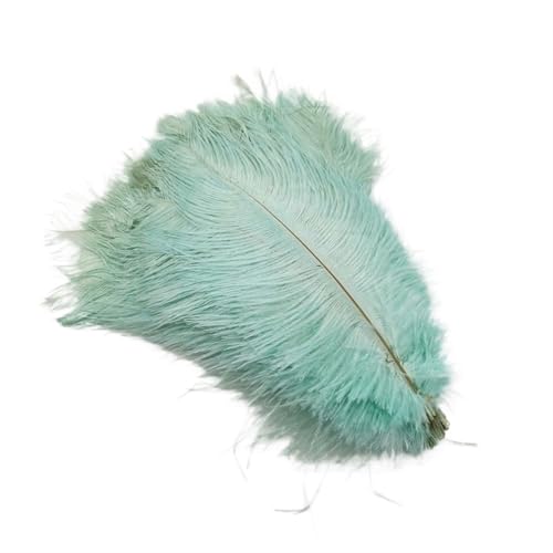 StraußEnfedern 10 Stück gefärbte, flauschige, weiche Straußenfedern for Basteln, Basteln, Handarbeiten, Federn for die Schmuckherstellung, Kleid, Hochzeitsdekoration, 25–30 cm(Mint Green feathers) StraußEnfedern 10 Stück gefärbte, flauschige, weiche Straußenfedern for Basteln, Basteln, Handarbeiten, Federn for die Schmuckherstellung, Kleid, Hochzeitsdekoration, 25–30 cm(Mint Green feathers) von TXLEAPEY