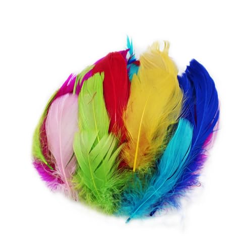 TYEQWT Federn zum Basteln, 400 Stück Bastelfedern, Federn Deko, Federn Groß, Basteln Federn Zubehör für Karneval Fasching Deko, DIY Ohrring, Hochzeit, Traumfänger, Kopfschmucksfedern, Schulhandwerk TYEQWT Federn zum Basteln, 400 Stück Bastelfedern, Federn Deko, Federn Groß, Basteln Federn Zubehör für Karneval Fasching Deko, DIY Ohrring, Hochzeit, Traumfänger, Kopfschmucksfedern, Schulhandwerk von TYEQWT