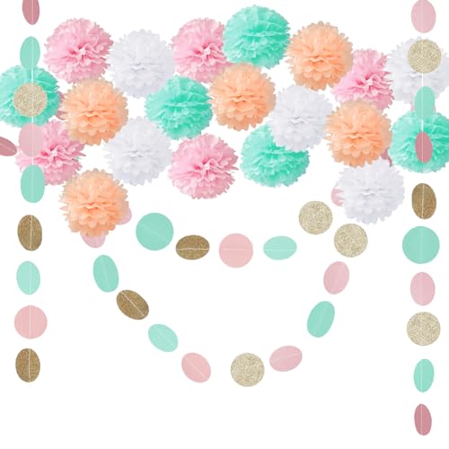 TYXHXTF 20 Stück Seidenpapier Pompons, Pompons Deko, Party Dekoration, Dekorationen für Hochzeit, Gartenparty Deko, Papier Pom Pom, Hochzeit Dekoration, für Party Geburtstag Festival Weihnachten TYXHXTF 20 Stück Seidenpapier Pompons, Pompons Deko, Party Dekoration, Dekorationen für Hochzeit, Gartenparty Deko, Papier Pom Pom, Hochzeit Dekoration, für Party Geburtstag Festival Weihnachten von TYXHXTF