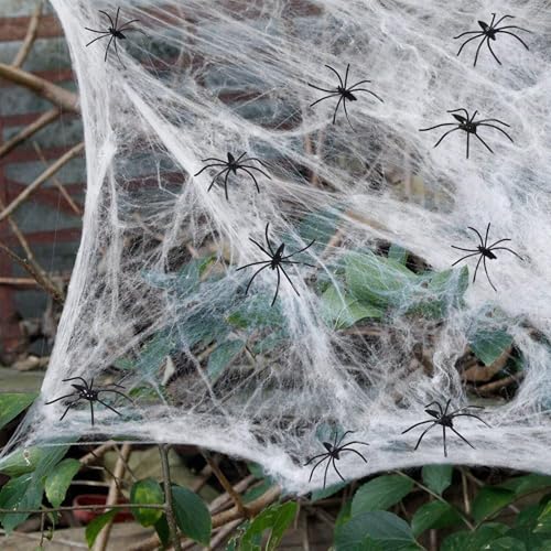 TYXHXTF Halloween Deko Spinnennetz, 200g Gruselig Spinnennetz mit 60 Schwarz Spinnen für Innen, Außen, Häuser, Garten, Spukhaus & Party Zubehör - Weiß TYXHXTF Halloween Deko Spinnennetz, 200g Gruselig Spinnennetz mit 60 Schwarz Spinnen für Innen, Außen, Häuser, Garten, Spukhaus & Party Zubehör - Weiß von TYXHXTF