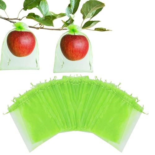 100 Stück Traubenschutzbeutel Gemüseschutznetz Obst Schutzbeutel mit Kordelzug Garten Netzbeutel, Weintrauben Schutzbeutel, Fruchtschutzbeutel, Organzasäckchen Grow Netz Insektenschutznetz (10x15cm) 100 Stück Traubenschutzbeutel Gemüseschutznetz Obst Schutzbeutel mit Kordelzug Garten Netzbeutel, Weintrauben Schutzbeutel, Fruchtschutzbeutel, Organzasäckchen Grow Netz Insektenschutznetz (10x15cm) von TZCIN