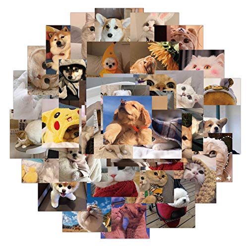 48 Stück süße Katze und Hund Aufkleber für Wasserflaschen, Tumbler, Gepäck, Skateboard, Stoßstange, Sammelalbum, Becher, Aufkleber, Geschenk für Kinder, Teenager, Erwachsene 48 Stück süße Katze und Hund Aufkleber für Wasserflaschen, Tumbler, Gepäck, Skateboard, Stoßstange, Sammelalbum, Becher, Aufkleber, Geschenk für Kinder, Teenager, Erwachsene von Tacomexi