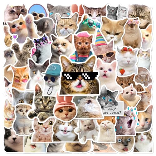 50 STÜCKE Katzenausdrücke Aufkleber für Laptop Wasserflasche Gepäck Snowboard Fahrrad Skateboard Aufkleber für Kinder Teens Erwachsene Cartoon Aufkleber 50 STÜCKE Katzenausdrücke Aufkleber für Laptop Wasserflasche Gepäck Snowboard Fahrrad Skateboard Aufkleber für Kinder Teens Erwachsene Cartoon Aufkleber von Tacomexi