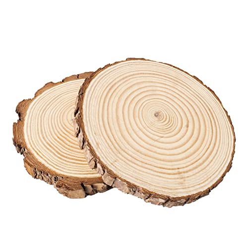 Taekooki 2 Stücke Holzscheiben, Holzscheiben 18-20cm Durchmesser, Baumscheiben aus echtem Holz mit Rinde, Runde Holzdeko Baumstamm Scheiben, zum Basteln, Schlichte Holzplatten als robuste Untersetzer von Taekooki