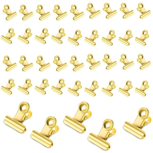 Taicols 50 Stück Kleine Bulldogge Büroklammern, Multi-function Binder Clip, 22mm Metall klammern, Metall Scharnier Clips Briefklemmer für Tags Taschen, Fotos, Zeichnungen, Kunsthandwerk (Gold) von Taicols