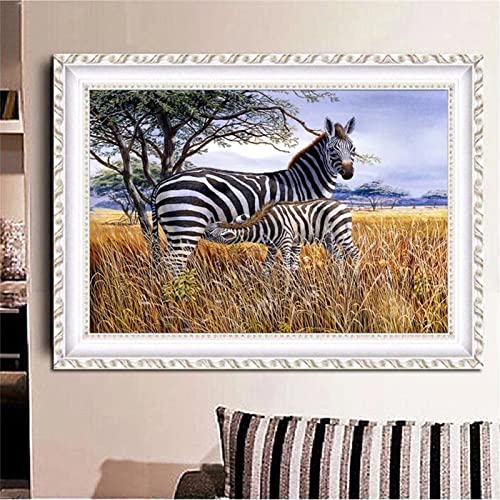 DIY 5D Diamond Painting Set,Tierisches Zebra Full Drill Diamant Painting Bilder für Erwachsene Kinder Kristall Strass Stickerei Kreuzstich Arts Craft für Home Wand Décor Square Drill,40x50cm von Tainrun