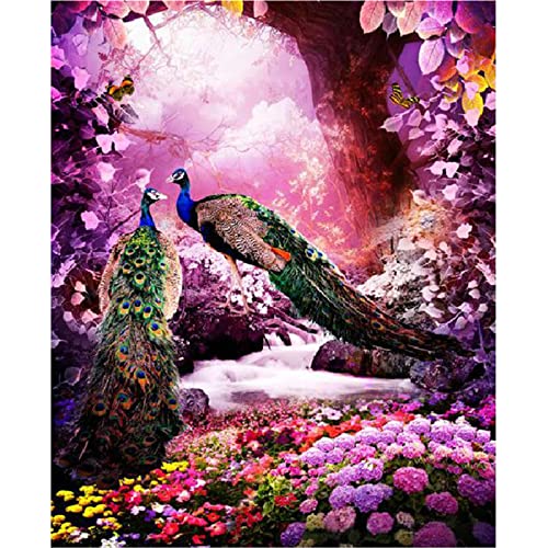 Diamond Painting Set,Schöner Pfau Diamant Painting Bilder 5D Erwachsene/Kinder Stickerei Kreuzstich Mosaik Gemälde DIY Diamant Malerei Kits Vollbohrer,für Home Wall Décor Round Drill,30x40cm Diamond Painting Set,Schöner Pfau Diamant Painting Bilder 5D Erwachsene/Kinder Stickerei Kreuzstich Mosaik Gemälde DIY Diamant Malerei Kits Vollbohrer,für Home Wall Décor Round Drill,30x40cm von Tainrun