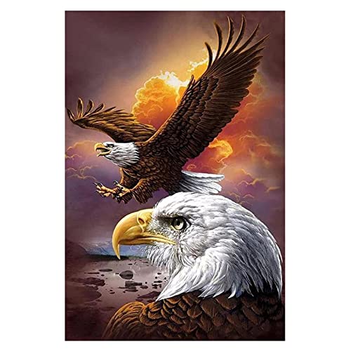 Diamond Painting Set,Tierischer Adler Diamant Painting Bilder 5D Erwachsene/Kinder Stickerei Kreuzstich Mosaik Gemälde DIY Diamant Malerei Kits Vollbohrer,für Home Wall Décor Round Drill,30x40cm Diamond Painting Set,Tierischer Adler Diamant Painting Bilder 5D Erwachsene/Kinder Stickerei Kreuzstich Mosaik Gemälde DIY Diamant Malerei Kits Vollbohrer,für Home Wall Décor Round Drill,30x40cm von Tainrun