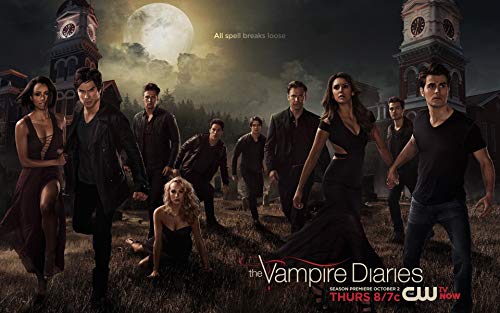 DIY 5D Diamond Painting Kits The Vampire Diaries Season 5, Geschenk, 30 x 40 cm, Mosaik-Stickerei, Heimdekoration, handgefertigte Geschenke von Tainsi