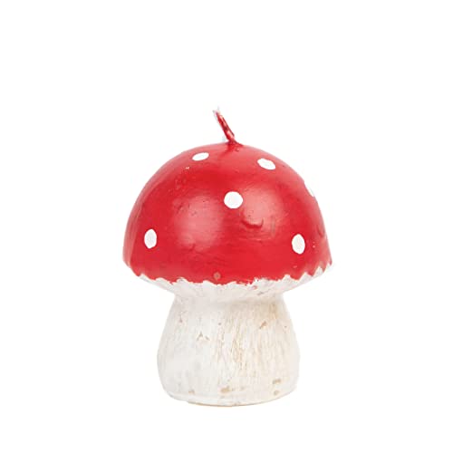 Talking Tables Kleine Kerze in Pilzform für Weihnachtstisch – 7,5 cm | rote Fliegenpilz-Waldparty-Dekorationen, Herbst-Heimdekoration, Alice im Wunderland Teeparty, Gartenfee Thema Talking Tables Kleine Kerze in Pilzform für Weihnachtstisch – 7,5 cm | rote Fliegenpilz-Waldparty-Dekorationen, Herbst-Heimdekoration, Alice im Wunderland Teeparty, Gartenfee Thema von Talking Tables