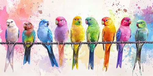 Malen Nach Zahlen Erwachsene Groß Bunt, Malen Nach Zahlen Erwachsene Groß Papagei, Paint by Numbers Leinwand XXL 40x20 cm, DIY Kreativ Bastelset Handgemalt Ölgemälde Home Décor, Mädchen Geschenk T217 von Tamalsj