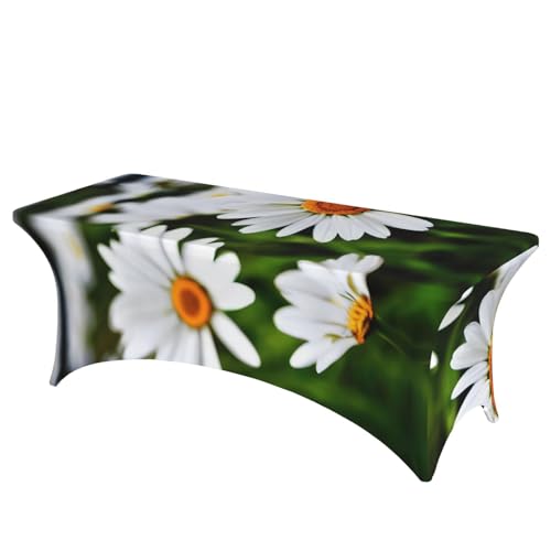 Weiße Gänseblümchen-Druck, professionell, stilvoll, rechteckige Tischdecke, saubere Tischdecke, einfache Installation Weiße Gänseblümchen-Druck, professionell, stilvoll, rechteckige Tischdecke, saubere Tischdecke, einfache Installation von Tamiger