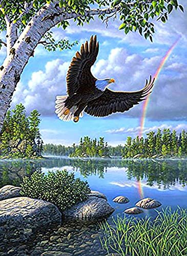 Tamseen DIY Diamond Painting Tiere Adler, 5D Diamant Painting Bilder Landschaft, Diamant Painting Kunst Bild Kinder Erwachsene Strass Kreuzstich Sets Für Stickerei Die Wände dekorieren 30X40 cm von Tamseen