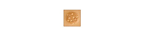 M882 Matting Leather Stamp by Tandy Leather Factory von Tandy Leather Factory