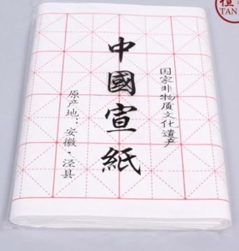 Chinesische japanische Kalligraphie Praxis Xuan Reispapier, Packung mit 100 Blatt von Tanxi