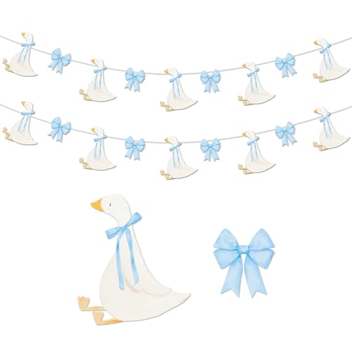 TaoBary 2 Set Gans Thema Banner für Babyparty, eine alberne Gans mit Schleife, Girlande für Bauernhoftier-Thema, Geschlechtsoffenbarung, Babyparty, Geburtstagsparty-Dekorationen (blau) von TaoBary