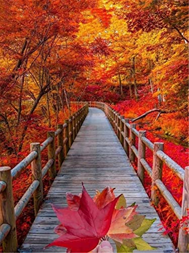 DiY 5D Diamond Painting Voll Set Herbstliche Landschaft Diamant Malerei Full Kristall Strass Diamant Stickerei Kreuzstich Erwachsene Kinder Diamant Art Kunsthandwerk Home Wand Dekor 30x40cm T1327 DiY 5D Diamond Painting Voll Set Herbstliche Landschaft Diamant Malerei Full Kristall Strass Diamant Stickerei Kreuzstich Erwachsene Kinder Diamant Art Kunsthandwerk Home Wand Dekor 30x40cm T1327 von Taoyoou
