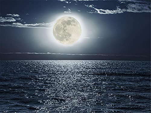 DiY 5D Diamond Painting Voll Set Mond Meer Diamant Malerei Full Kristall Strass Diamant Stickerei Kreuzstich Erwachsene Kinder Diamant Art Leinwand Kunsthandwerk Home Wand Dekor Geschenk 70x90cm M1960 DiY 5D Diamond Painting Voll Set Mond Meer Diamant Malerei Full Kristall Strass Diamant Stickerei Kreuzstich Erwachsene Kinder Diamant Art Leinwand Kunsthandwerk Home Wand Dekor Geschenk 70x90cm M1960 von Taoyoou